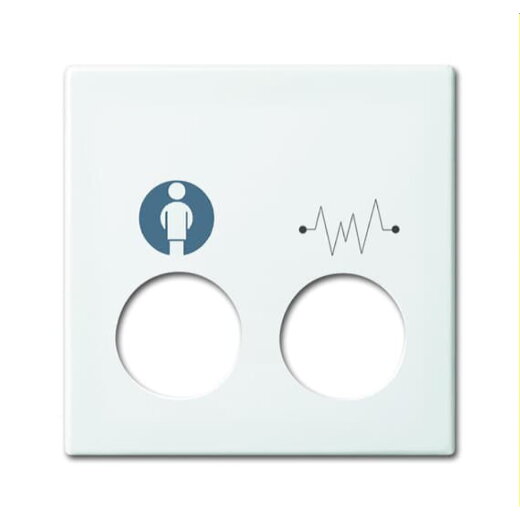 Busch-Jaeger Zentralscheibe 2548-020 E-914 alpinweiß