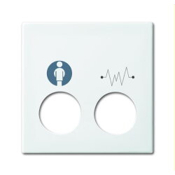 Busch-Jaeger Zentralscheibe 2548-020 E-914 alpinweiß