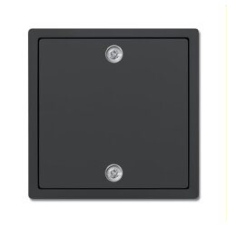 Busch-Jaeger Zentralscheibe 1796-81 für Zugschalter...