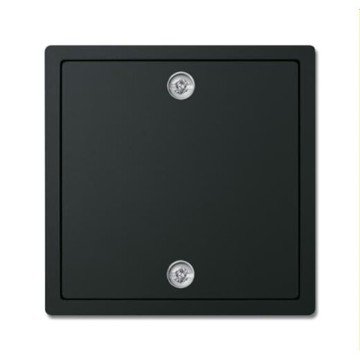 Busch-Jaeger Zentralscheibe 1796-885 für Zugschalter schwarz matt