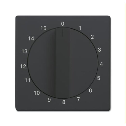 Busch-Jaeger Zentralscheibe 1770-81-103 mit Drehknopf anthrazit