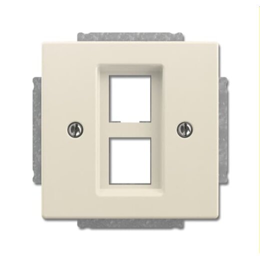 Busch-Jaeger Zentralscheibe 2561-02-82 elfenbeinweiß