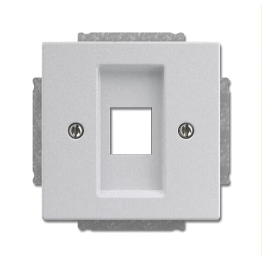 Busch-Jaeger Zentralscheibe 2561-83 aluminiumsilber