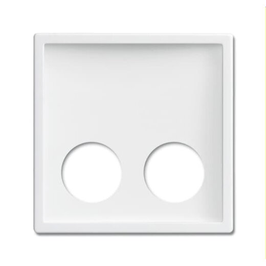 Busch-Jaeger Zentralscheibe 2548-020 D-84 studioweiß