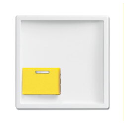 Busch-Jaeger Zentralscheibe 2548-642 D-84 studioweiß