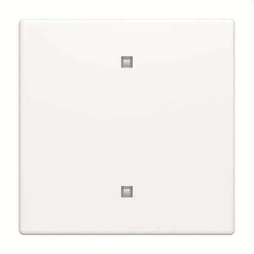 Busch-Jaeger Wippe 2570-10-884 Elektroniktaster