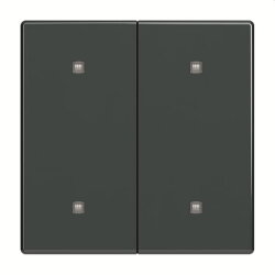 Busch-Jaeger Wippe 2570-20-81 2-f.Elek.taster