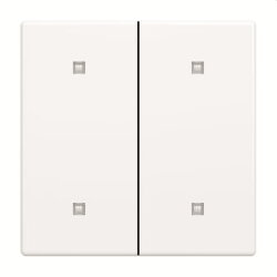 Busch-Jaeger Wippe 2570-20-84 2-f.Elek.taster