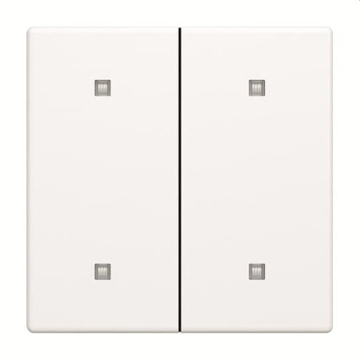 Busch-Jaeger Wippe 2570-20-884 2-f.Elek.taster