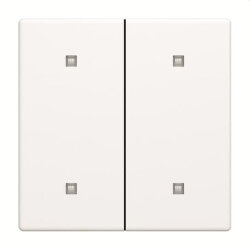 Busch-Jaeger Wippe 2570-20-884 2-f.Elek.taster