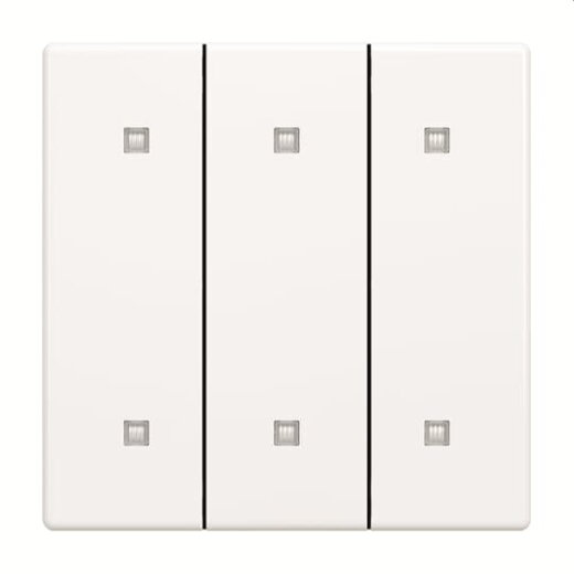 Busch-Jaeger Wippe 2570-30-84 3-fach Elek.taster