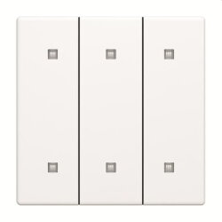 Busch-Jaeger Wippe 2570-30-884 3-fach Elek.taster