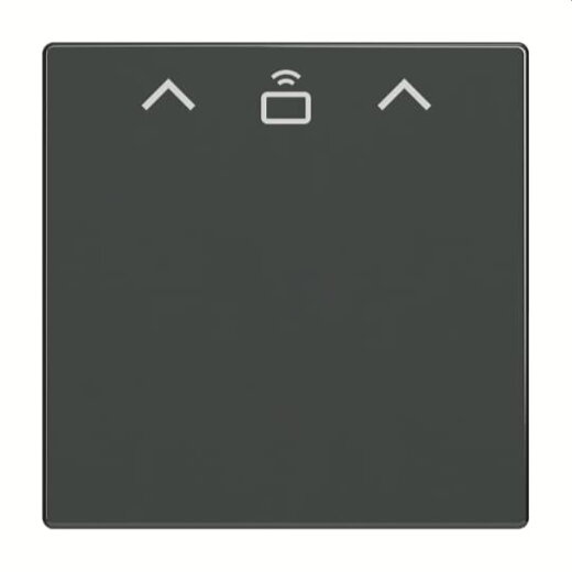 Busch-Jaeger Zentralscheibe 1792 RFID-81 Cardschalter RFID