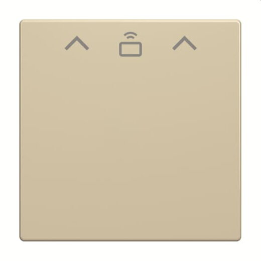 Busch-Jaeger Zentralscheibe 1792 RFID-82 Cardschalter RFID