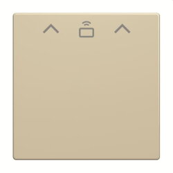 Busch-Jaeger Zentralscheibe 1792 RFID-82 Cardschalter RFID