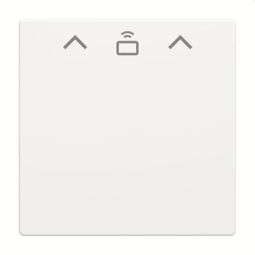 Busch-Jaeger Zentralscheibe 1792 RFID-84 Cardschalter RFI