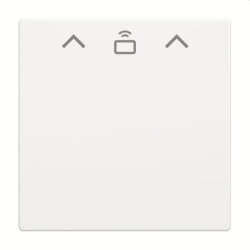 Busch-Jaeger Zentralscheibe 1792 RFID-84 Cardschalter RFI