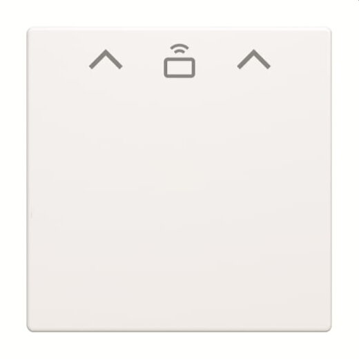 Busch-Jaeger Zentralscheibe 1792 RFID-884 Cardschalter RFID