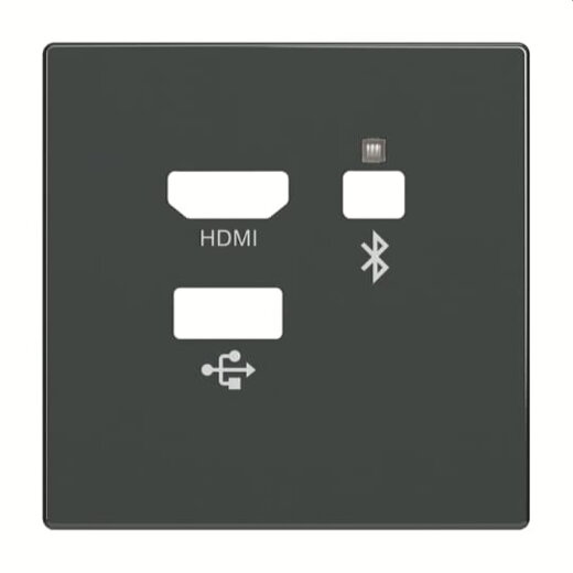 Busch-Jaeger Zentralscheibe 8256-81 Media Connector