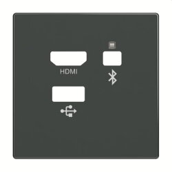 Busch-Jaeger Zentralscheibe 8256-81 Media Connector