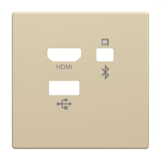 Busch-Jaeger Zentralscheibe 8256-82 Media Connector