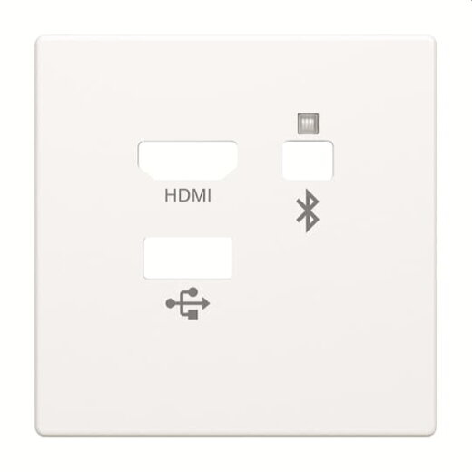 Busch-Jaeger Zentralscheibe 8256-884 Media Connector