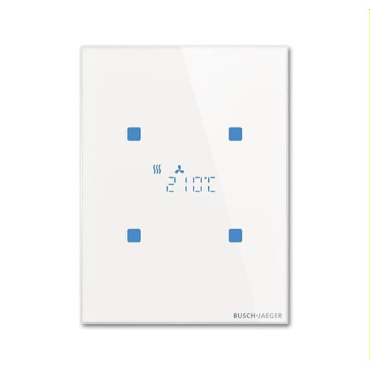 Busch-Jaeger Raumtemperaturregler TR/U.3.11-CG