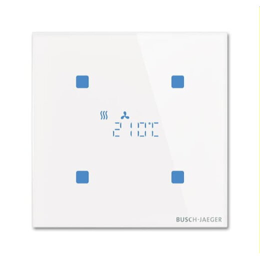 Busch-Jaeger Raumtemperaturregler TR/U-CG