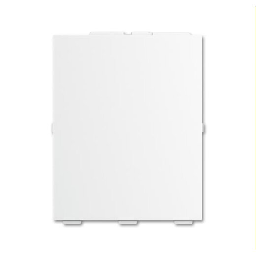 Busch-Jaeger Abdeckung SLS/A.0.11-84 Schriftfeld RTR klein ws