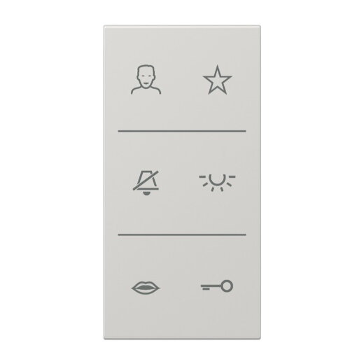 Jung Design-Cover Video, F50, Serie LS, lichtgrau SIV6LSDCLG