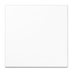 Jung EnOcean Funk-Wandsender 2-kanalig, Serie LS,...