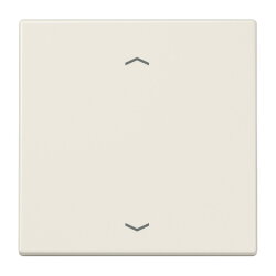 Jung EnOcean Funk-Wandsender 2-kanalig, mit...