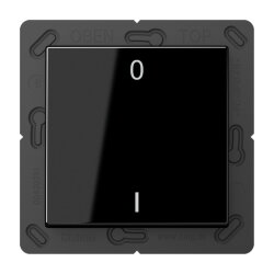 Jung EnOcean Funk-Wandsender 2-kanalig, Symbole 0 I,...