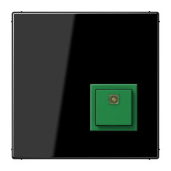 Jung Notrufsystem Abstelltaster, Serie LS, schwarz...