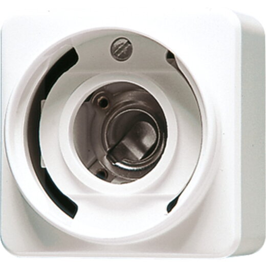 Jung Lichtsignal (ohne Haube), E10-Gewinde, AP 600, alpinweiß 637-10AWW