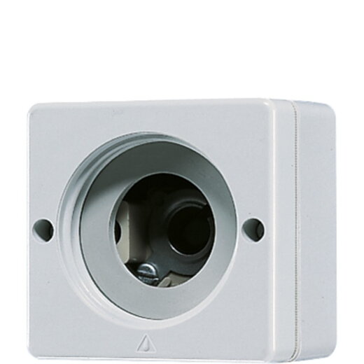 Jung Lichtsignal (ohne Haube), E10-Gewinde, WG 600, grau 637-10W