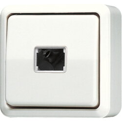 Jung Taster, 1-pol. Schließer mit separaten...