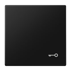 Jung Wippe, Symbol Tür, Serie LS, graphitschwarz...