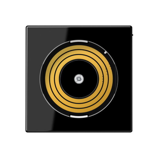 Jung Abdeckung für Spannungsversorgung Plug & Light, Thermoplast, Serie A, schwarz PLADMSSW