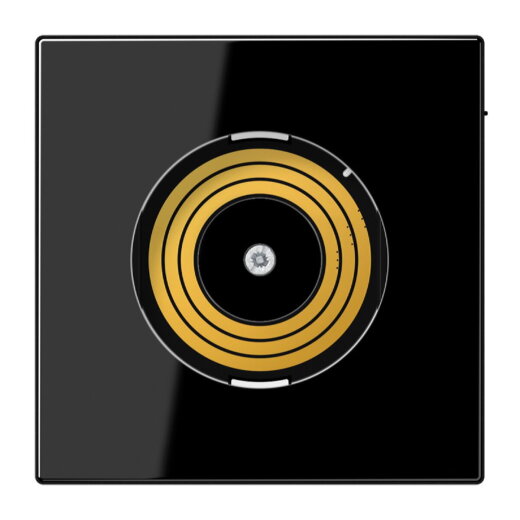 Jung Abdeckung für Spannungsversorgung Plug & Light, Thermoplast, Serie LS, schwarz PLLSDMSSW