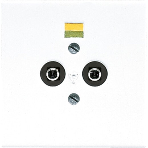 Jung Potentialausgleich-Steckdose, Duroplast, Serie LS, alpinweiß LS965-2WW