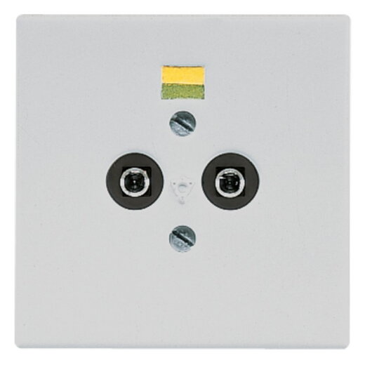 Jung Potentialausgleich-Steckdose, Duroplast, Serie LS, lichtgrau LS965-2LG