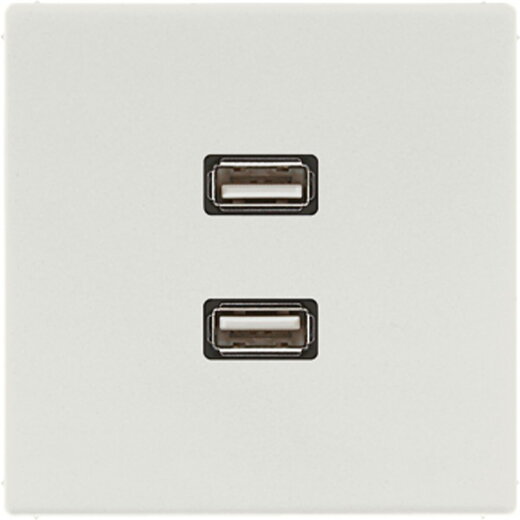Jung Multimedia-Anschlusssystem 2 x USB 2.0, Serie LS, lichtgrau MALS1153LG