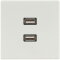 Jung Multimedia-Anschlusssystem 2 x USB 2.0, Serie LS, lichtgrau MALS1153LG