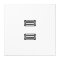 Jung Multimedia-Anschlusssystem 2 x USB 2.0, Serie LS, alpinweiß MALS1153WW