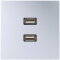 Jung Multimedia-Anschlusssystem 2 x USB 2.0, Serie LS, Aluminium MAAL1153