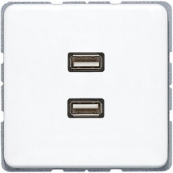 Jung Multimedia-Anschlusssystem 2 x USB 2.0, Serie...