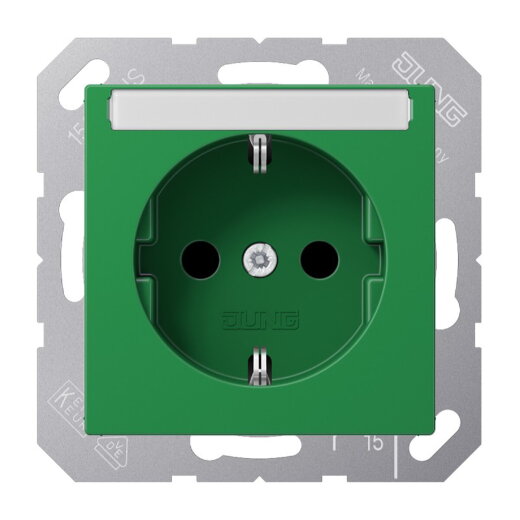 Jung SCHUKO Steckdose, 16 A 250 V ~, mit Schriftfeld, Thermoplast, Serie AS/A, grün (für SV) A1520BFNAGN