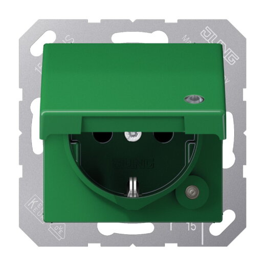 Jung SCHUKO Steckdose, 16 A 250 V ~, mit Funktionsanzeige, Thermoplast, Serie A, grün (für SV A1520BFKLKOGN