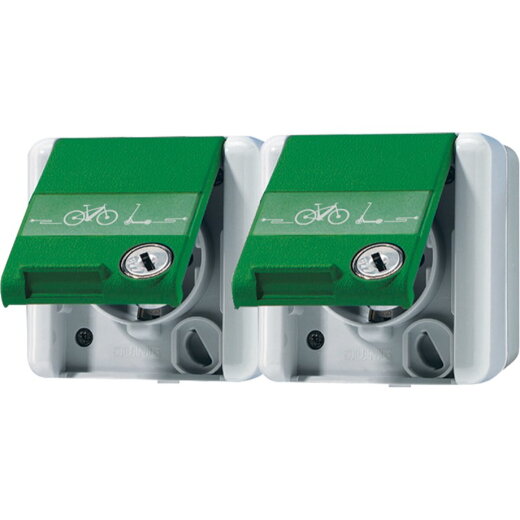 Jung SCHUKO®-Zweifach-Steckdose, 4 Leitungseinführungen, 2 Einzelabdeckungen, 16 A 250 V ~ mit E-Bike-Ladesymbol, mit Schriftfeld, Klappdeckel, mit Sicherh 8220GNNAWSLEB